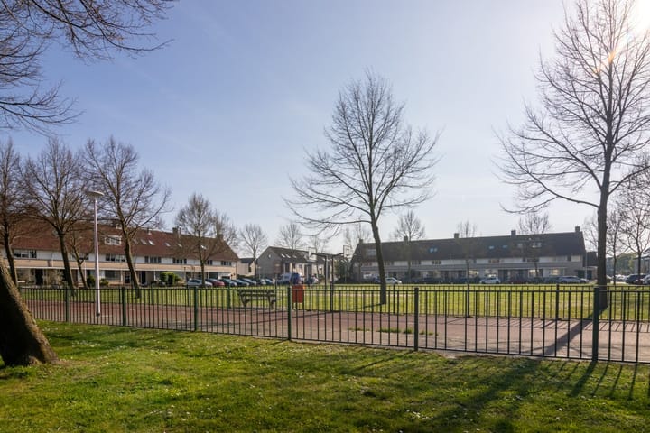 Foto 41 van Meerkoet 35