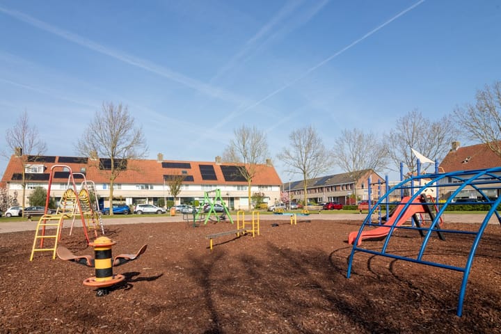 Foto 42 van Meerkoet 35