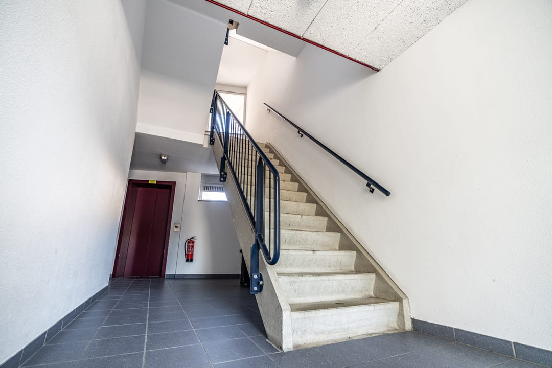 Foto 31 van Kamilleveld 3