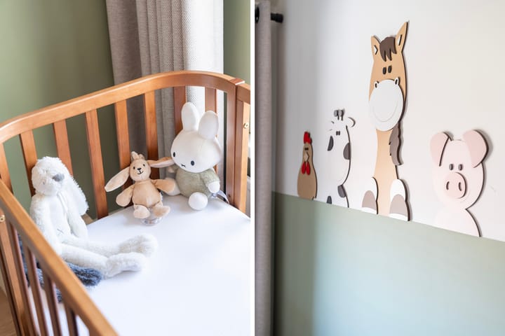 Foto 22 van Cornelis Smitstraat 76