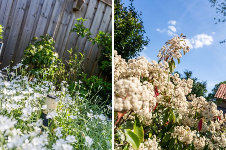 Foto 34 van Cornelis Smitstraat 76