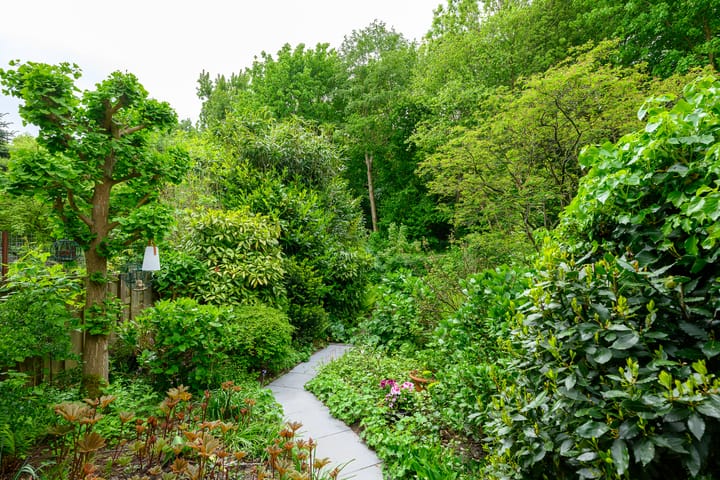 Foto 2 van Hommelveld 30