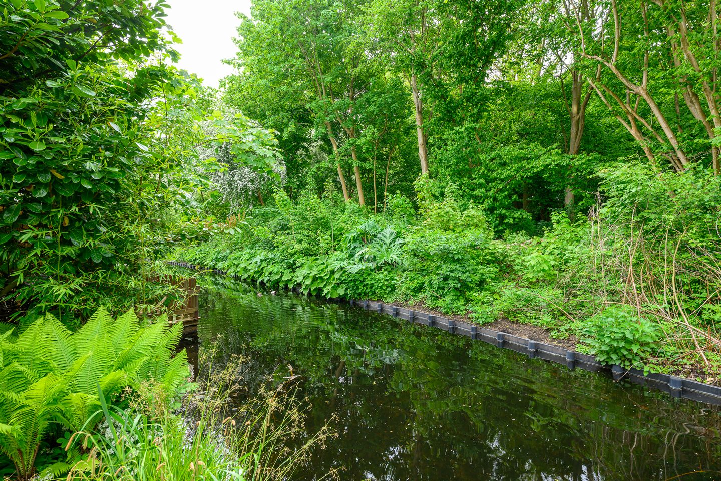 Foto 20 van Hommelveld 30