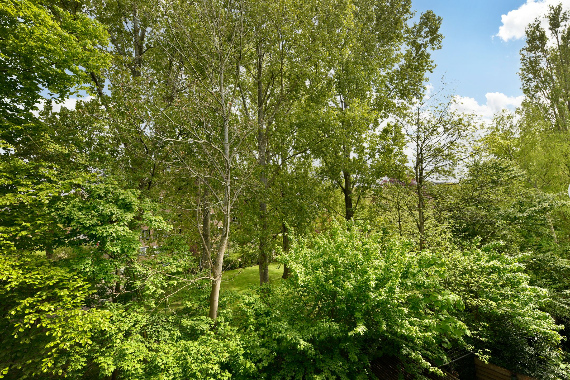 Foto 6 van Diaconessenplein 89