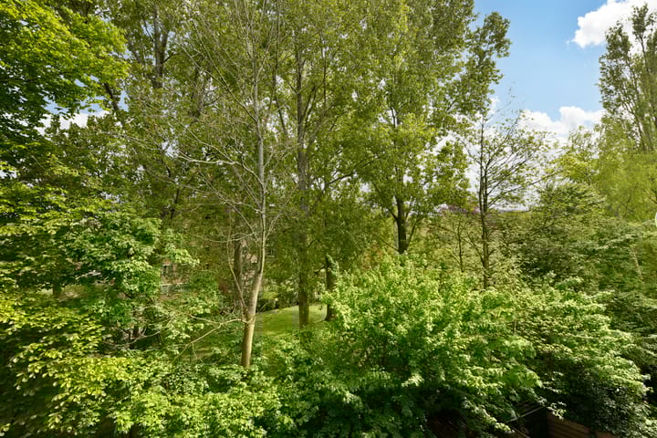 Foto 6 van Diaconessenplein 89