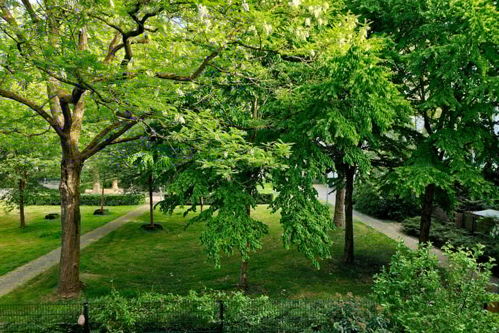 Photo 12 of Dostojevskisingel 285