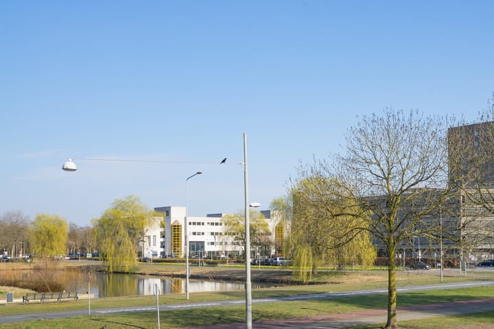 Photo 24 of Dostojevskisingel 285