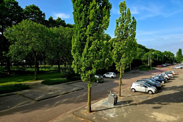 Photo 26 of Dostojevskisingel 285