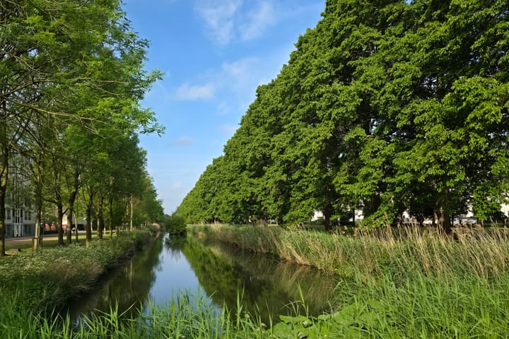 Photo 30 of Dostojevskisingel 285