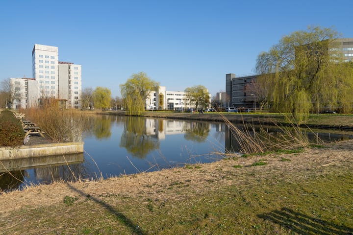 Photo 31 of Dostojevskisingel 285