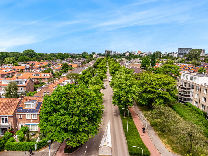 Foto 41 van Runmoolen 7