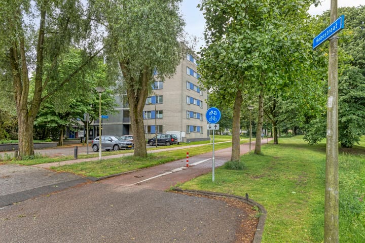 Foto 31 van Hobostraat 1