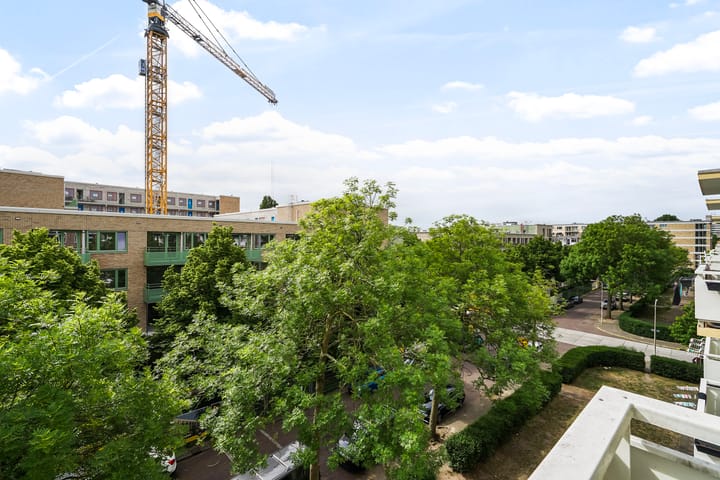 Foto 22 van Steenzicht 99