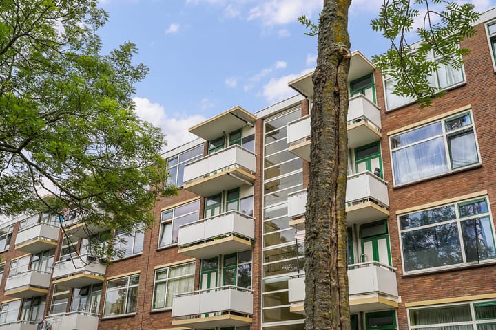 Foto 32 van Steenzicht 99