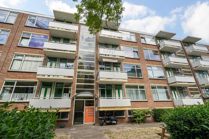 Foto 33 van Steenzicht 99