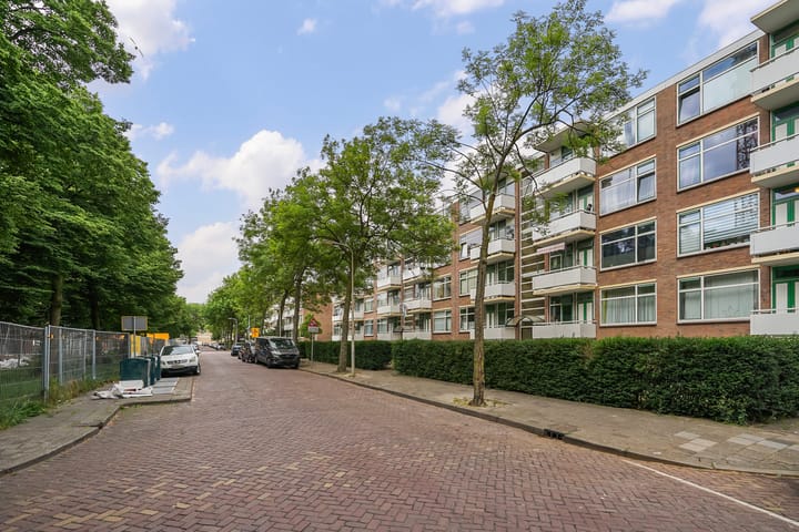 Foto 34 van Steenzicht 99