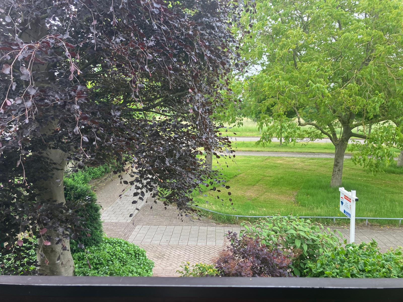 Foto 51 van Singel 147