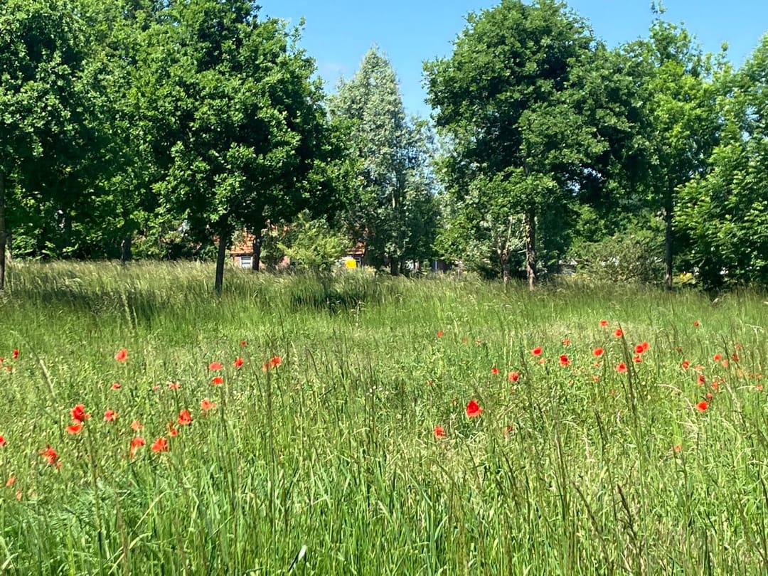 Foto 52 van Singel 147