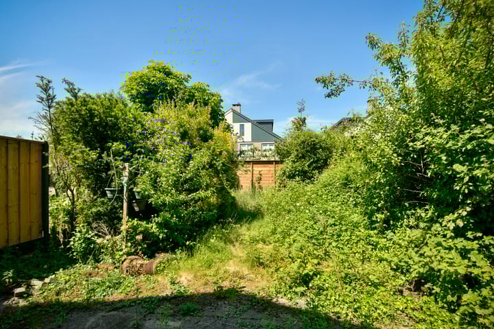 Foto 14 van Zeezigt 424