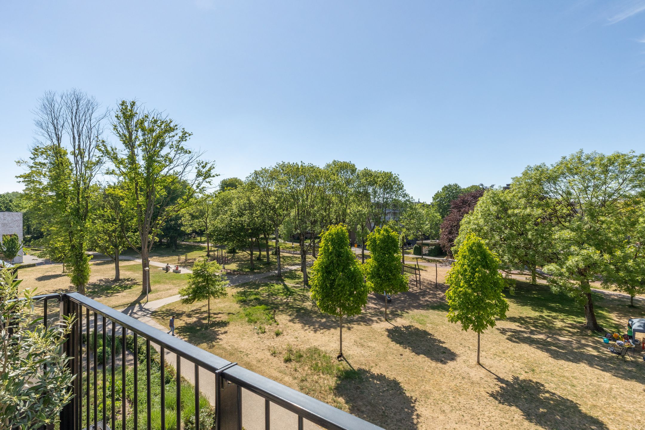 Foto 9 van Koopvaardersplantsoen 51-B