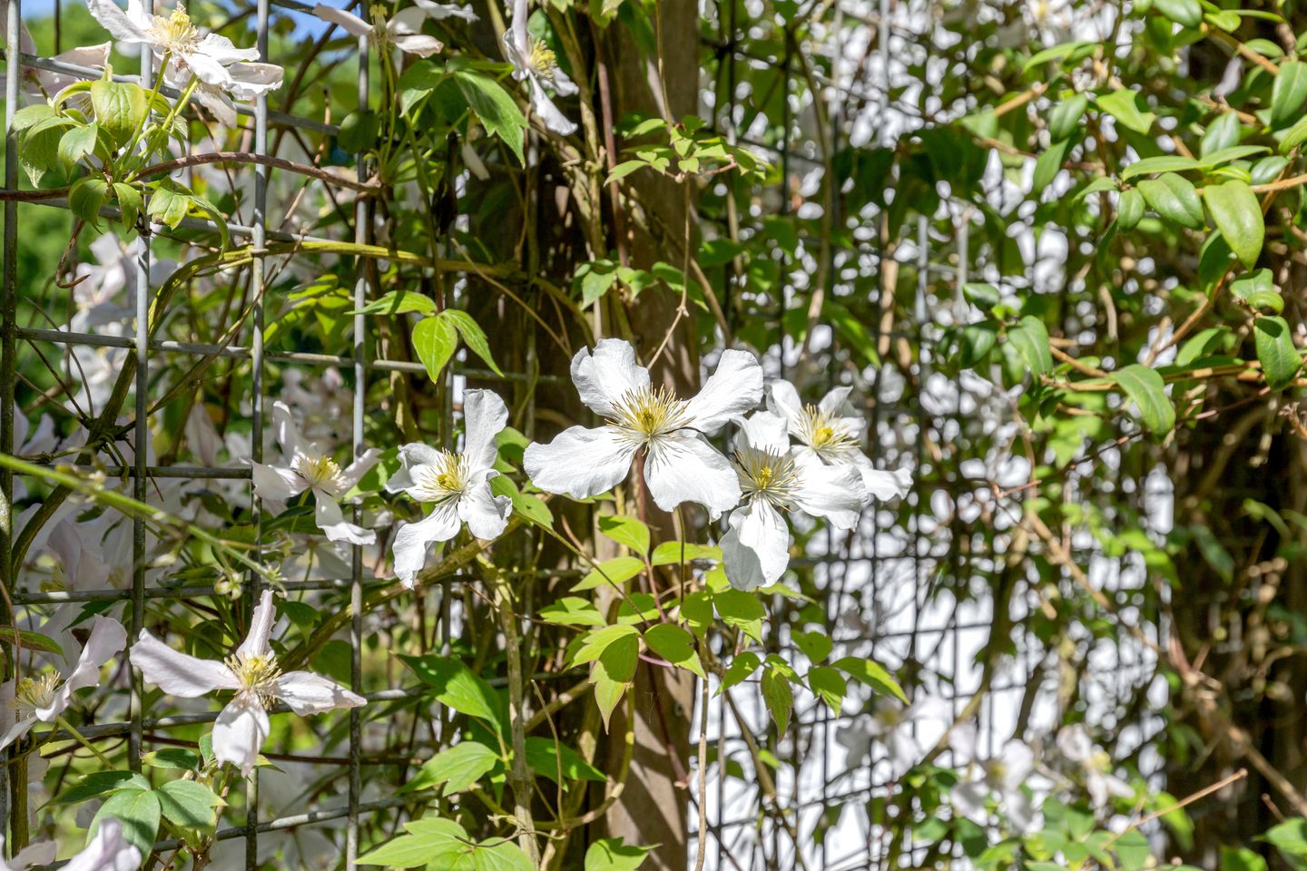 Photo 40 of Stichtse Rotonde 25