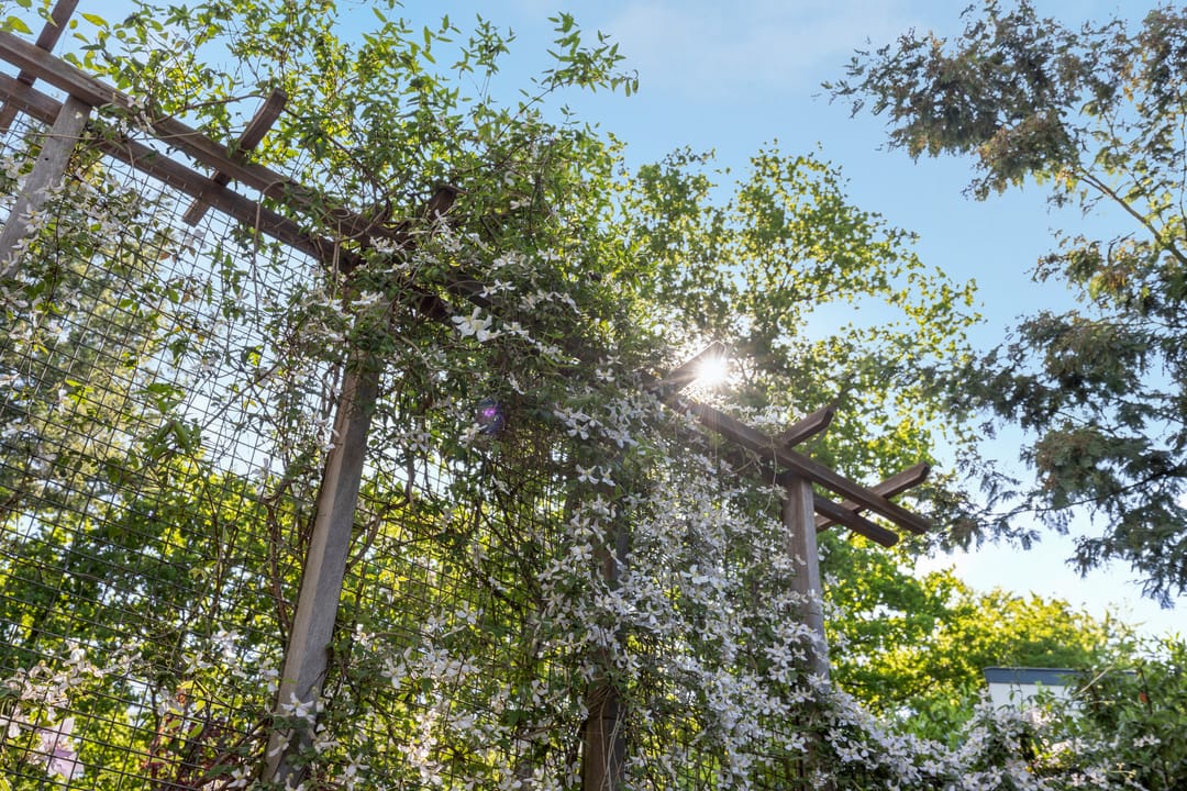 Photo 41 of Stichtse Rotonde 25