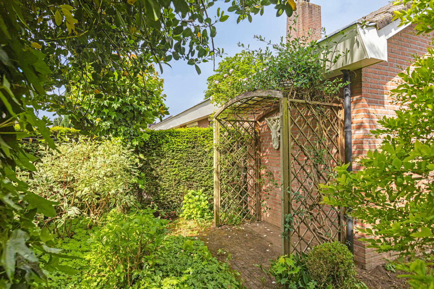 Foto 29 van Verheijen van Estveltstraat 3