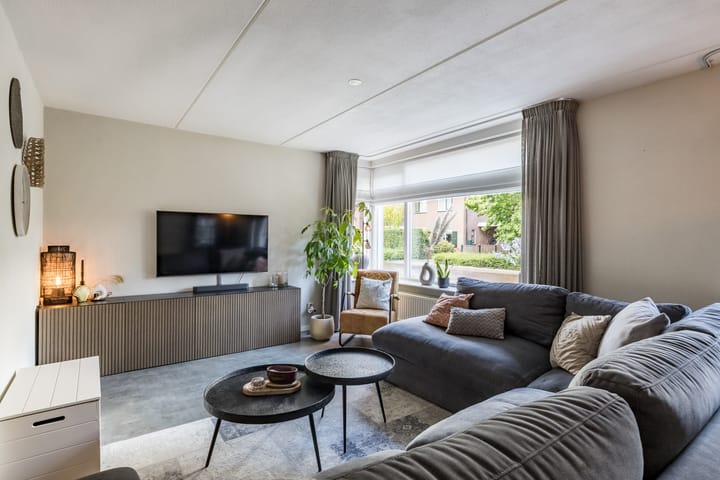 Foto 2 van Penningkruid 15