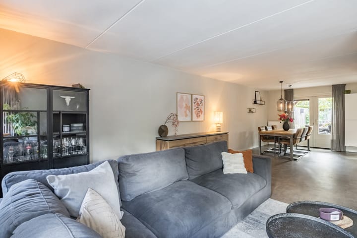 Foto 7 van Penningkruid 15