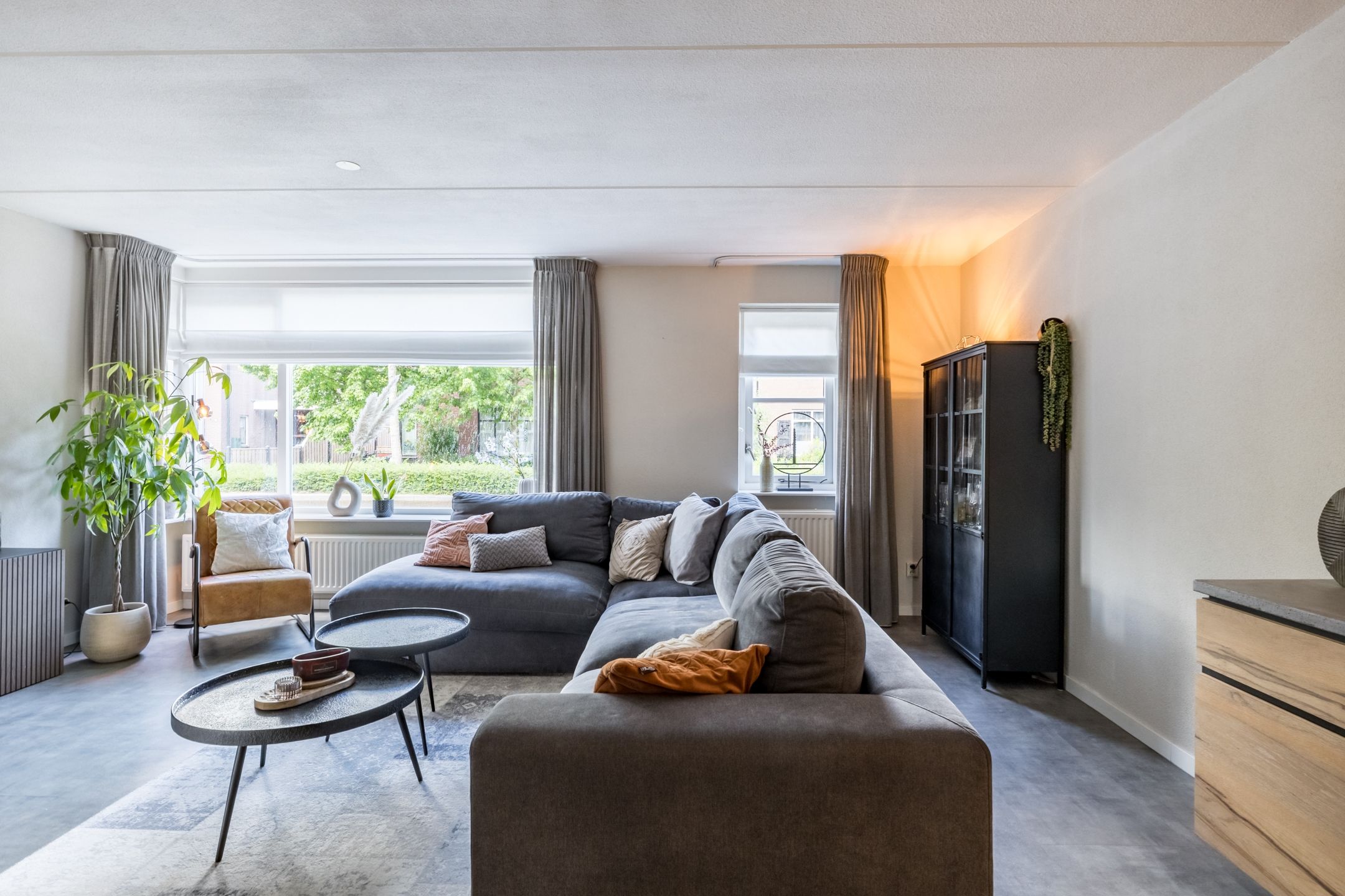 Foto 6 van Penningkruid 15