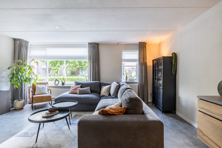 Foto 6 van Penningkruid 15