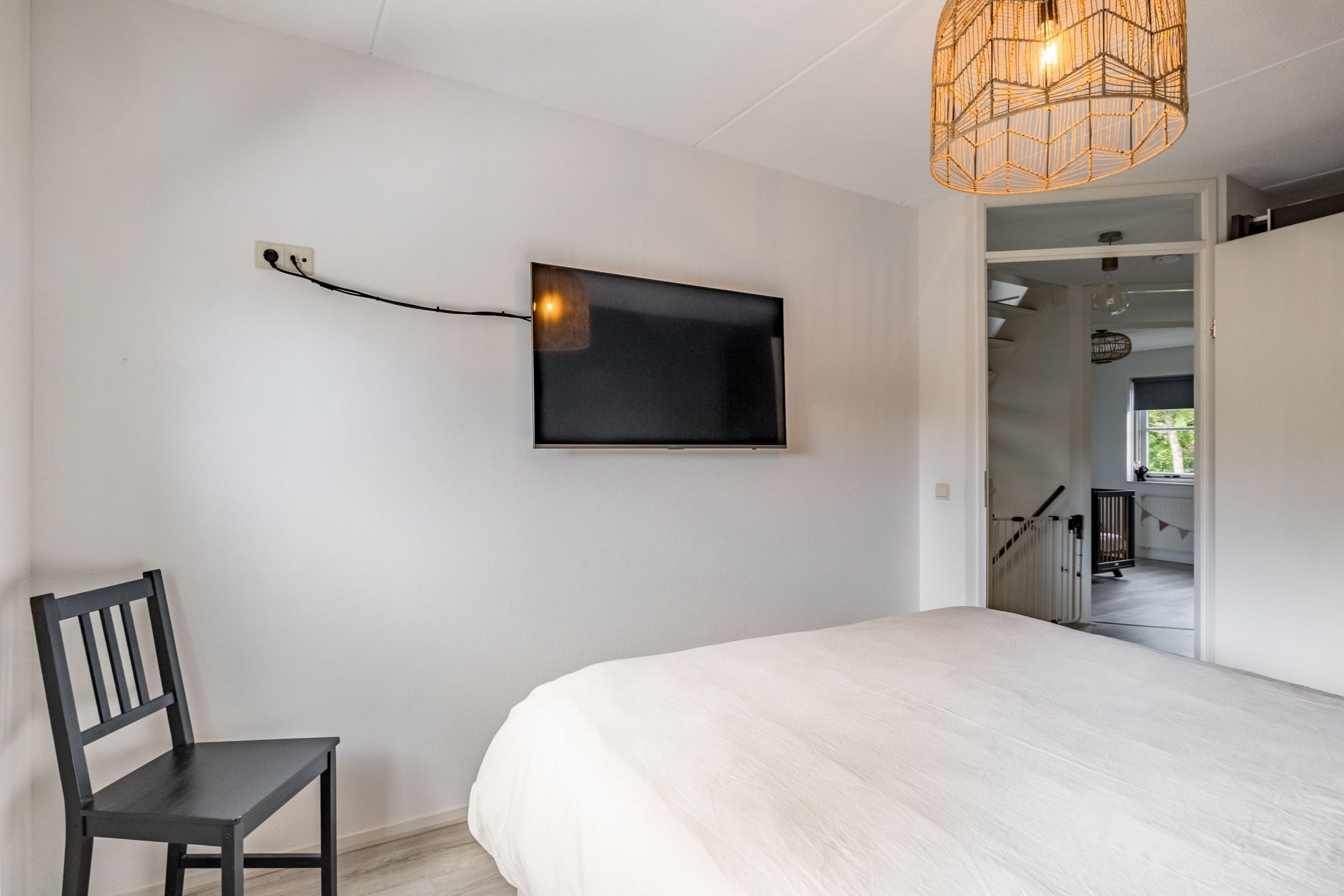 Foto 15 van Penningkruid 15