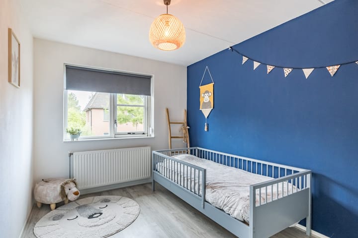 Foto 16 van Penningkruid 15