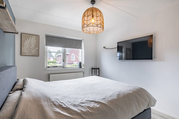 Foto 14 van Penningkruid 15