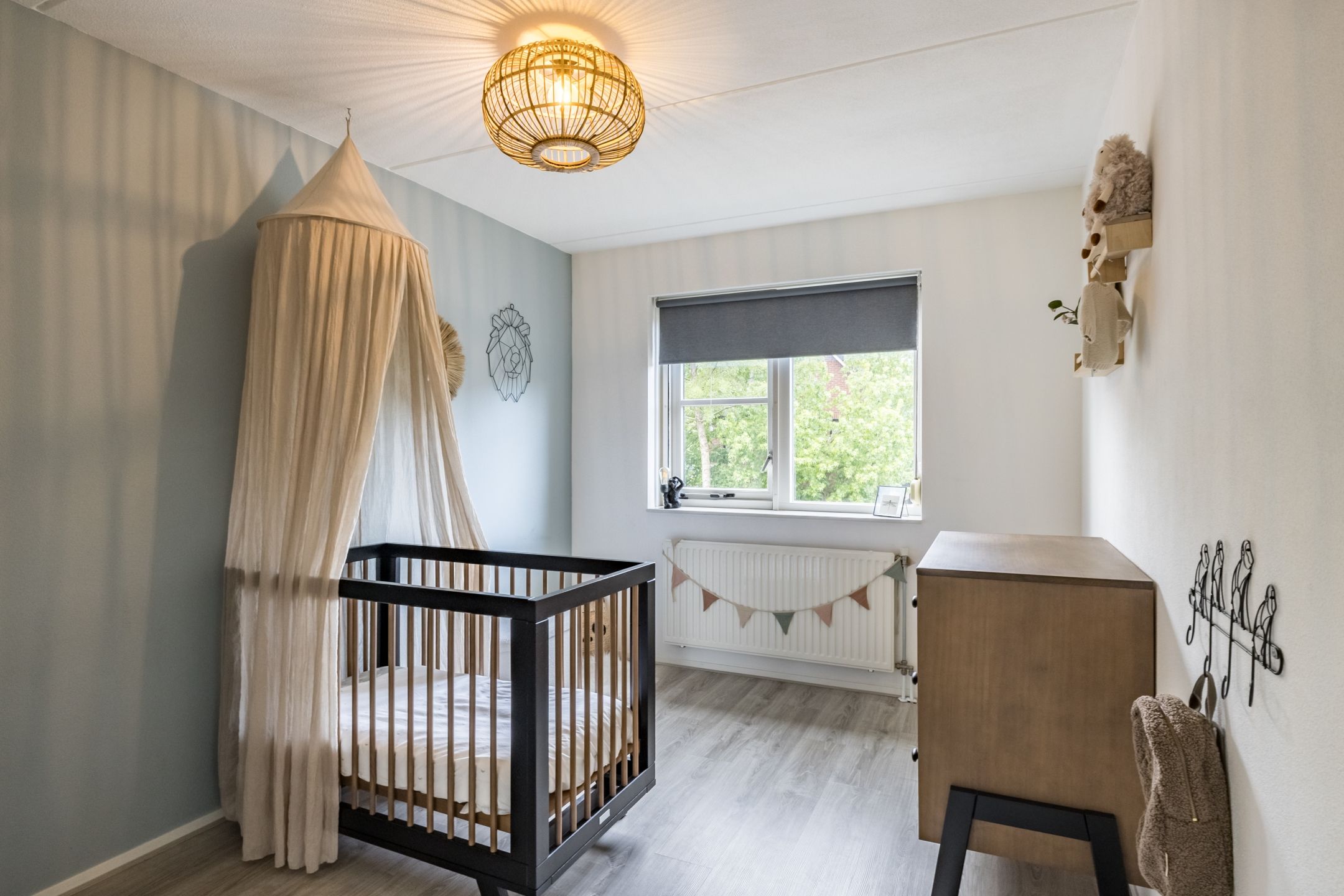 Foto 18 van Penningkruid 15