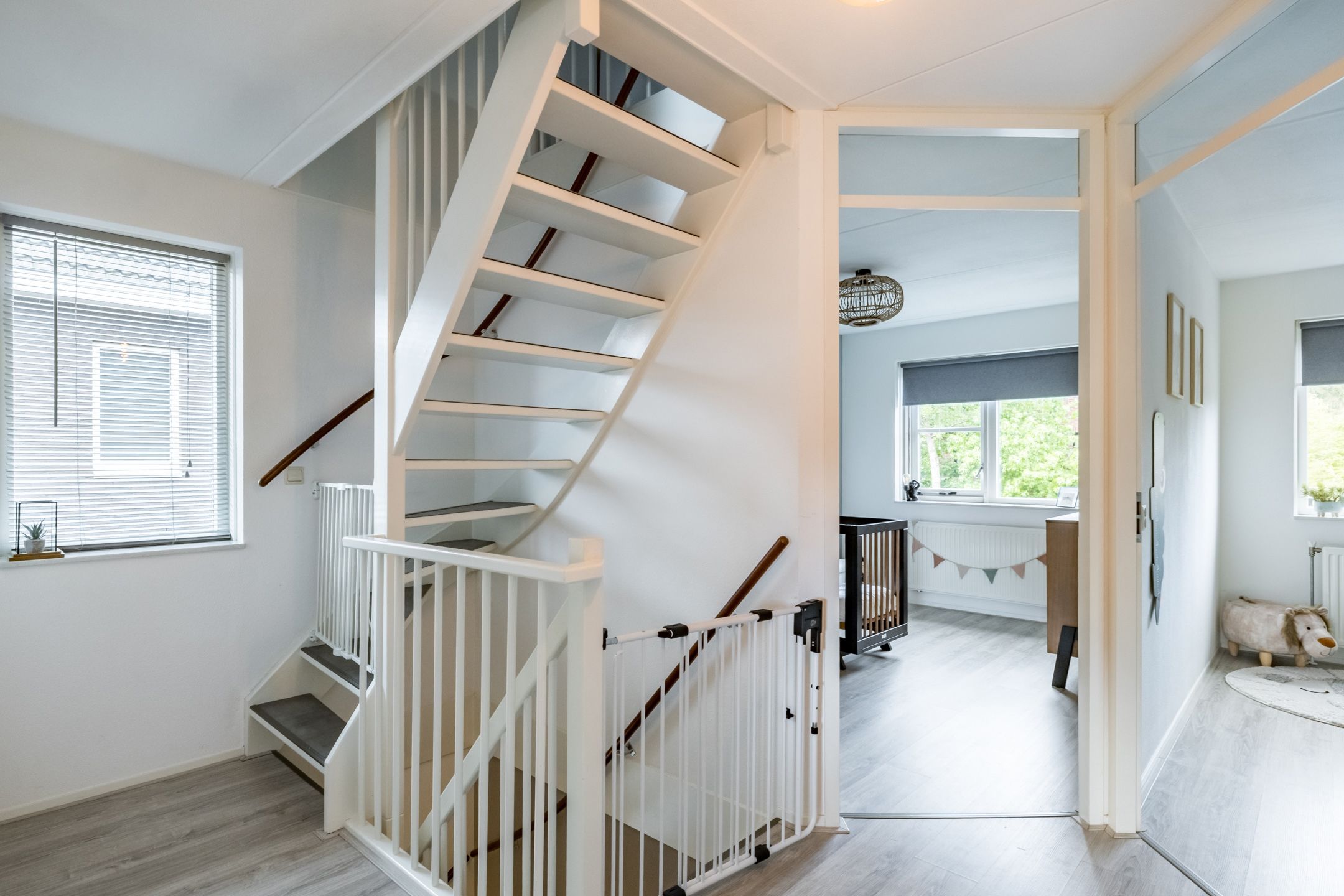 Foto 24 van Penningkruid 15