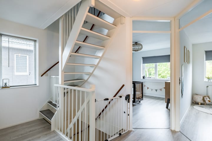 Foto 24 van Penningkruid 15