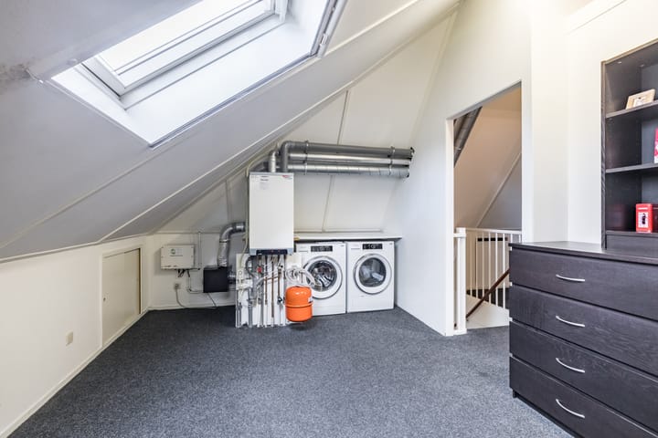 Foto 29 van Penningkruid 15