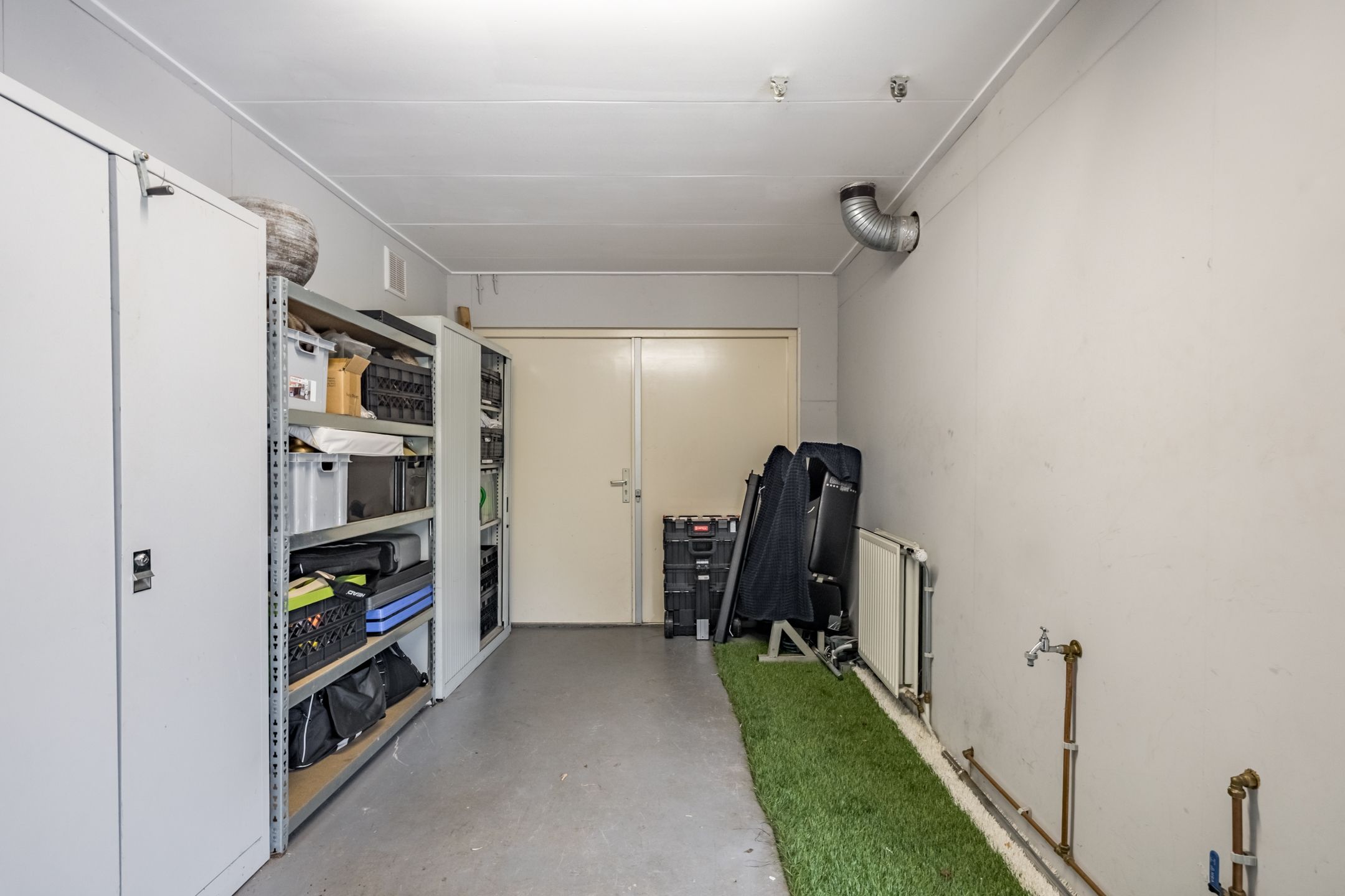 Foto 30 van Penningkruid 15