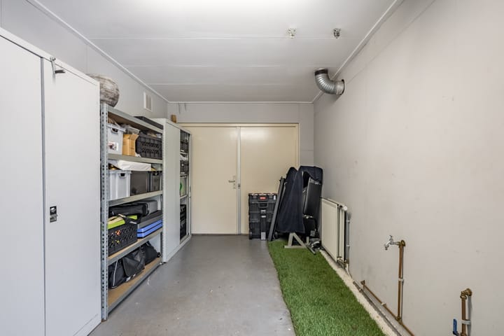 Foto 30 van Penningkruid 15