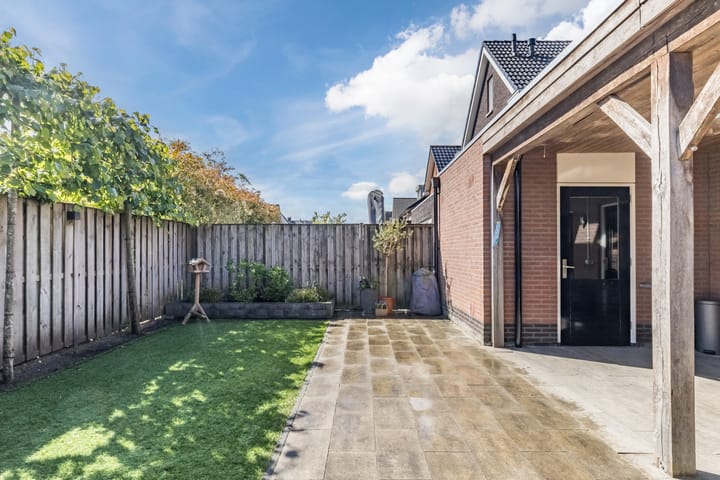 Foto 32 van Penningkruid 15