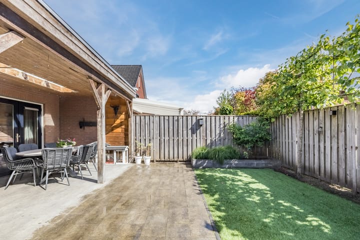 Foto 33 van Penningkruid 15