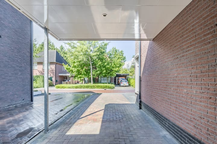 Foto 37 van Penningkruid 15