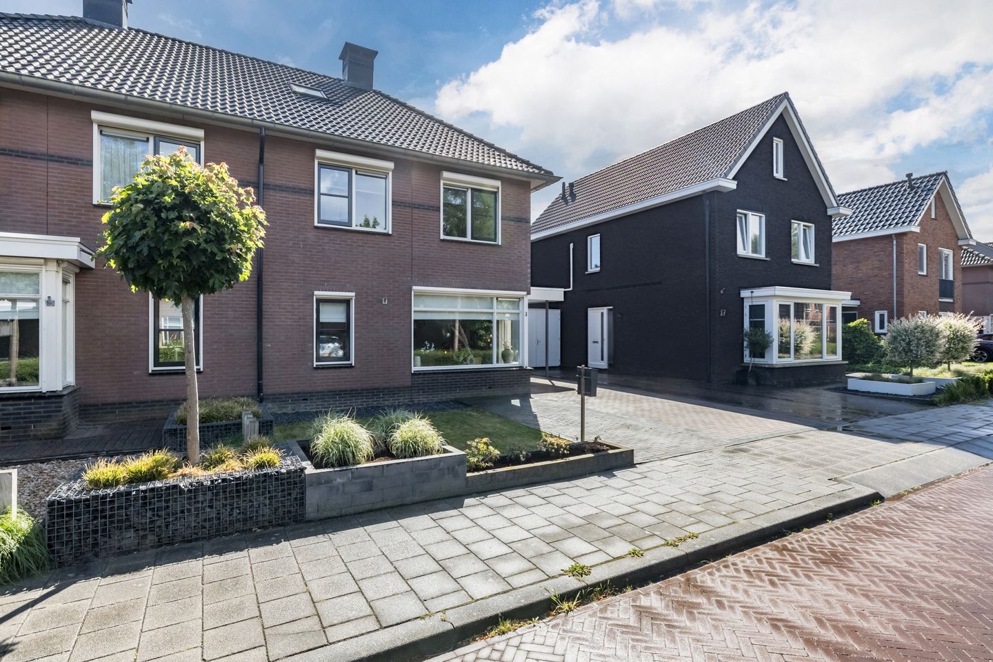 Foto 40 van Penningkruid 15