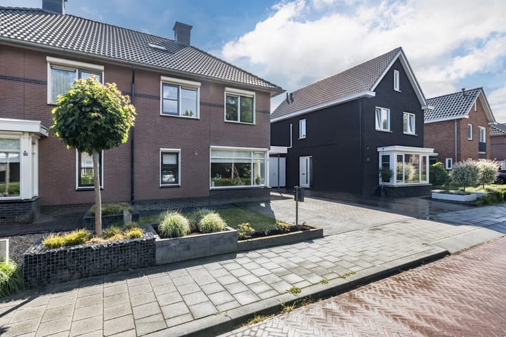 Foto 40 van Penningkruid 15