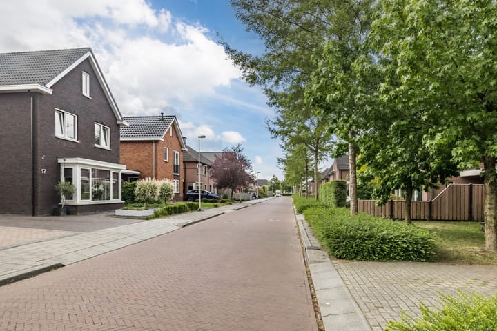 Foto 42 van Penningkruid 15