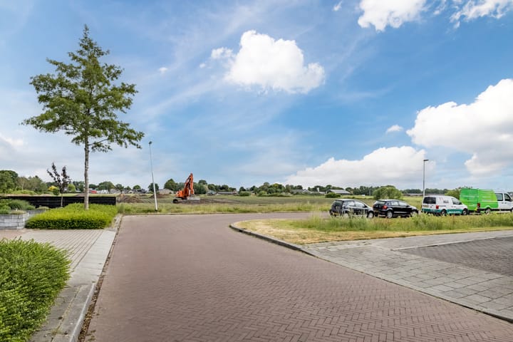 Foto 43 van Penningkruid 15