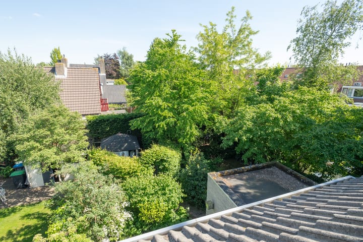 Photo 29 of Elisabeth Catsvliet 14