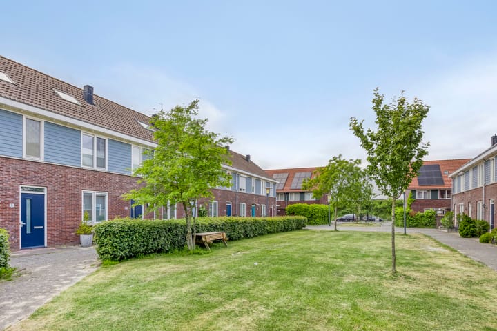 Foto 9 van Shetland 25