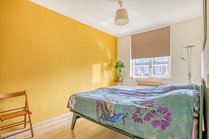 Foto 20 van Shetland 25